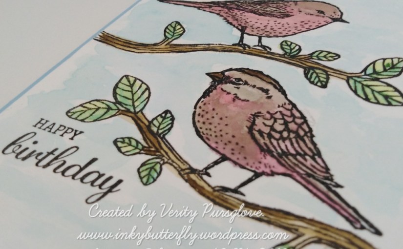 Watercoloured Best Birds