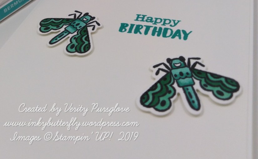 Birthday Bugs!