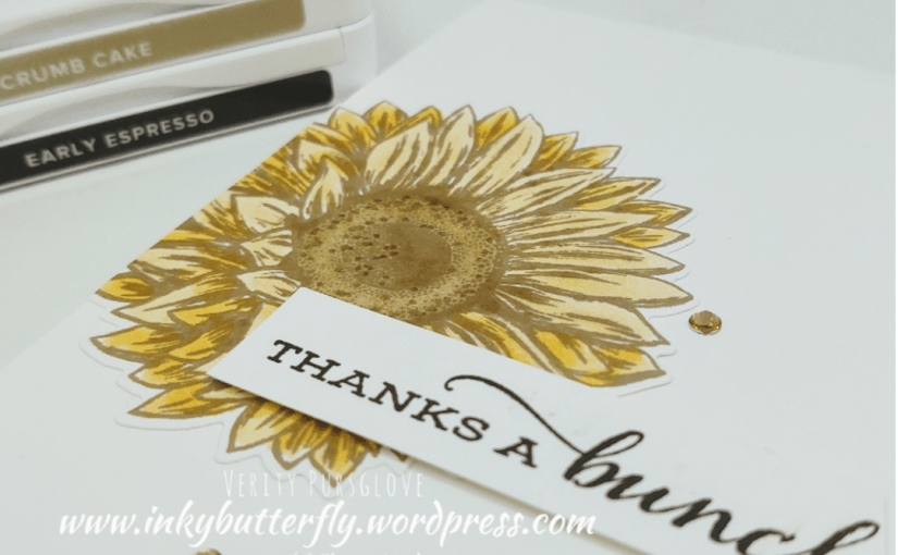 Celebrating Sunflowers