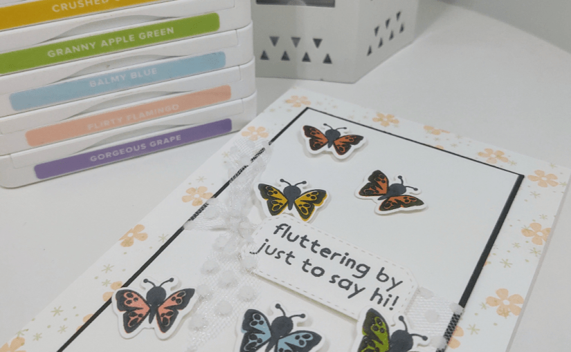 Rainbow of Butterflies