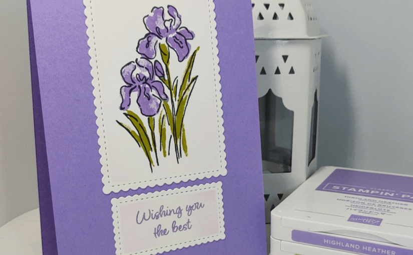 Simple Two Step Stamping with Inspiring&nbsp;Iris
