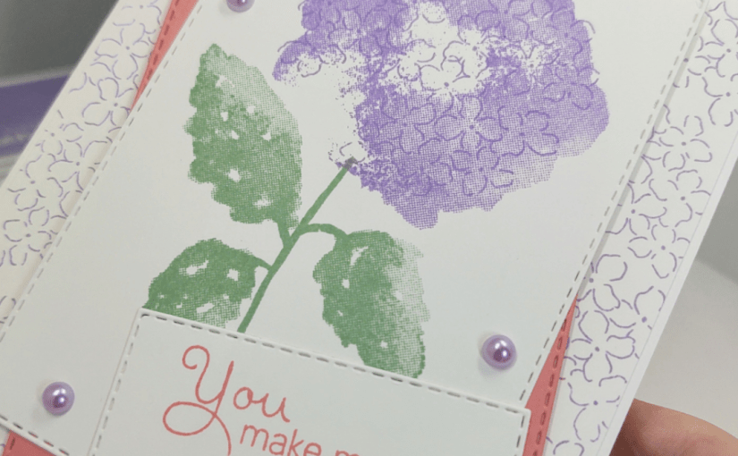 Monday Colour Challenge with Hydrangea&nbsp;Haven