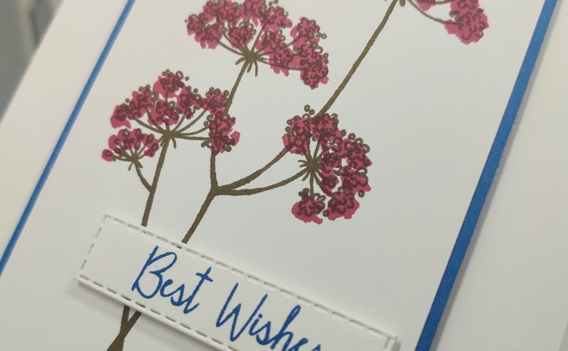 Creative Colour Challenges&nbsp;#1