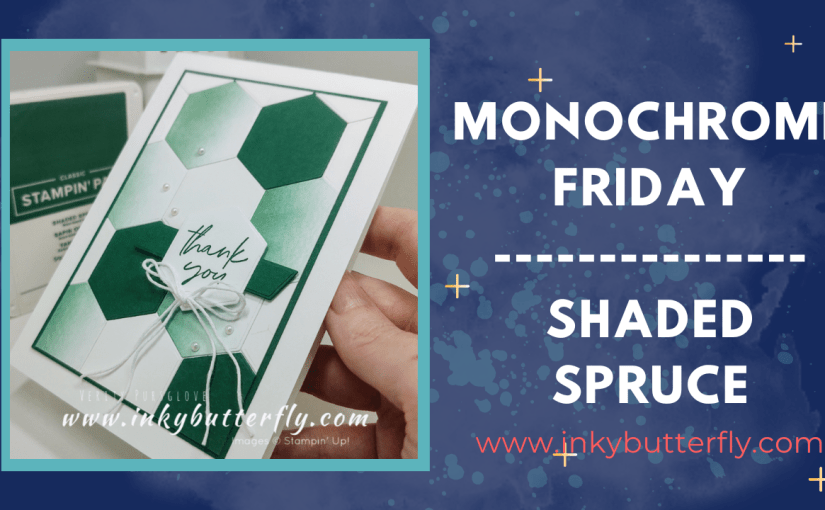 Monochrome Friday – Shaded&nbsp;Spruce!