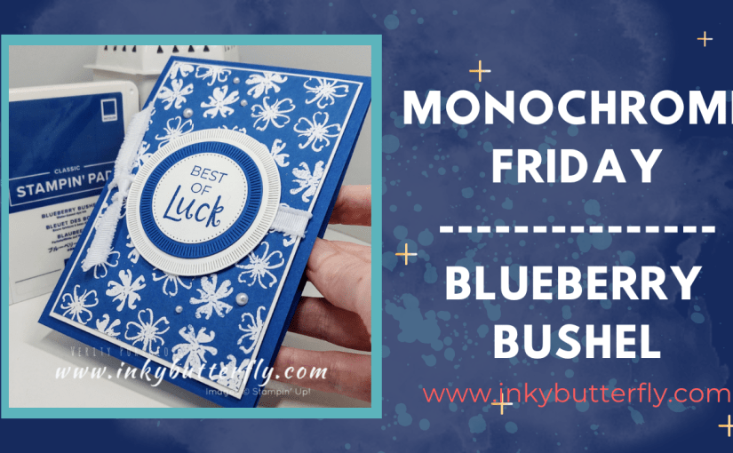 Monochrome Friday – Blueberry&nbsp;Bushel!