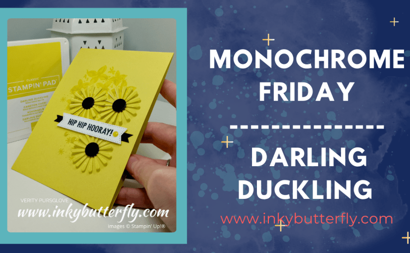Monochrome Friday – Darling&nbsp;Duckling!