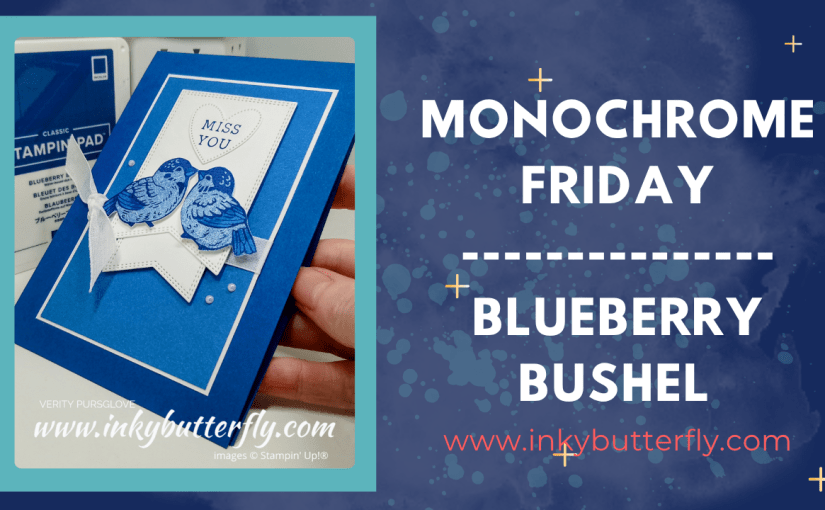 Monochrome Friday – Blueberry&nbsp;Bushel!