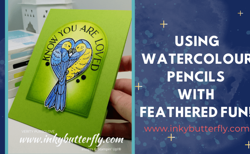 Using Watercolour Pencils with the Feathered Fun Stamp&nbsp;Set!
