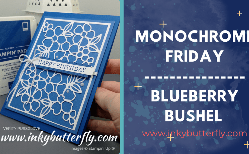 Monochrome Friday – Blueberry&nbsp;Bushel!