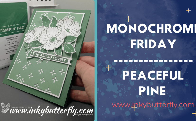 Monochrome Friday – Peaceful&nbsp;Pine!