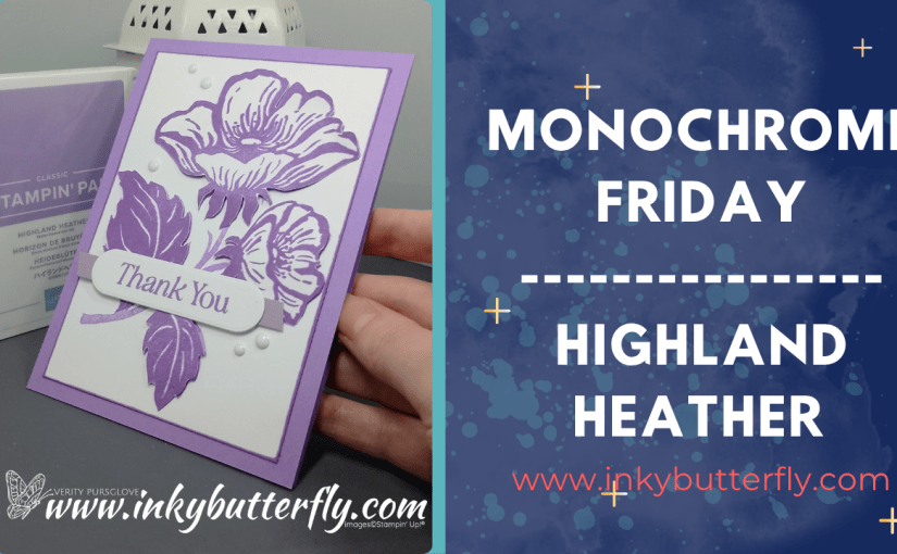 Monochrome Friday – Highland&nbsp;Heather!